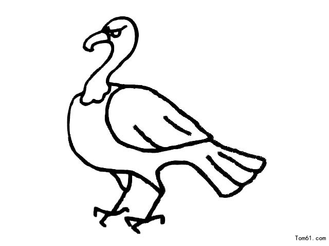 鸟-简笔画图片-儿童资源网手机版