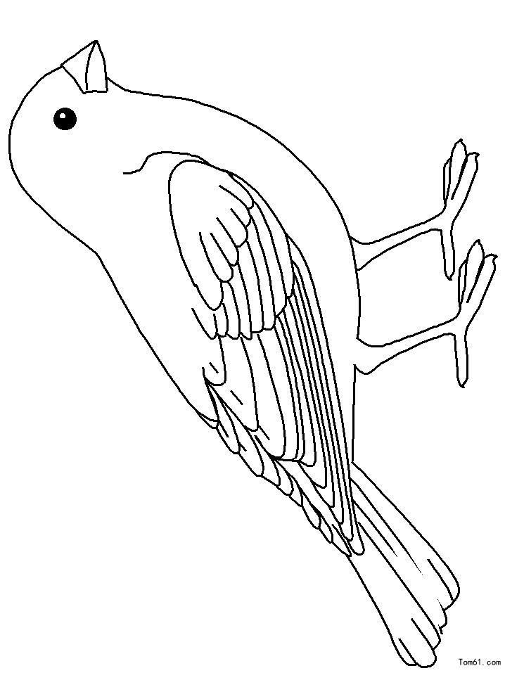 鸟-简笔画图片-儿童资源网手机版