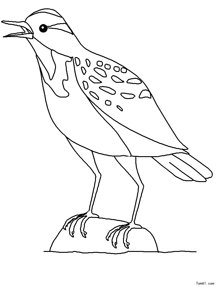 鸟-简笔画图片-儿童资源网手机版