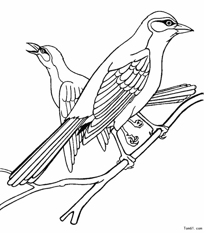 鸟-简笔画图片-儿童资源网手机版