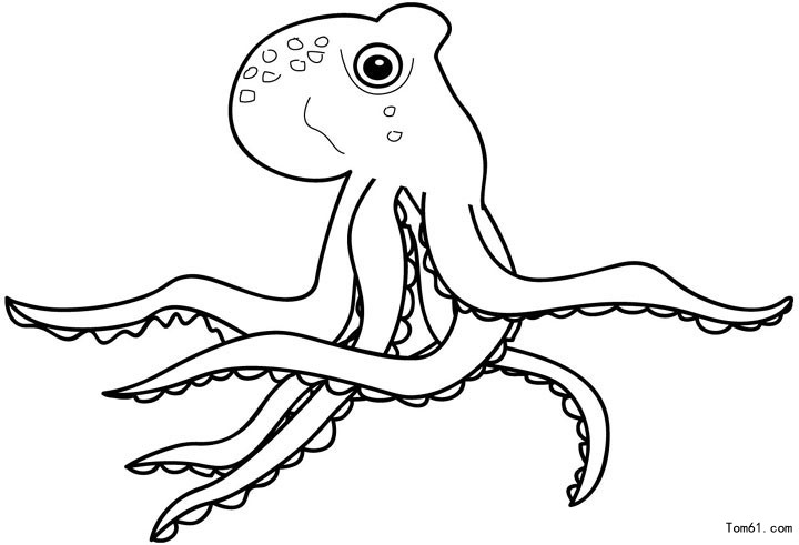 章鱼-简笔画图片-儿童资源网手机版